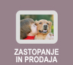 zastopanje in prodaja